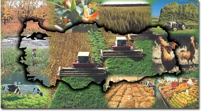 tarımvehayvancılık